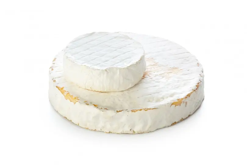 The Camembert Cheese
