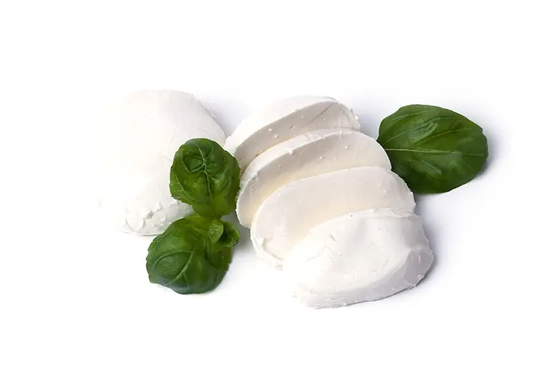 The Mozzarella Cheese